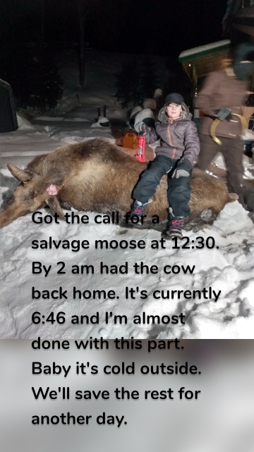 Got the call for a salvage moose at 12:30. By 2 am had the cow back home. It's currently 6:46 and I'm almost done with this part. Baby it's cold outside. We'll save the rest for another day.